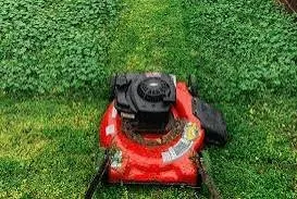 Gee Lawn & Car Detailing