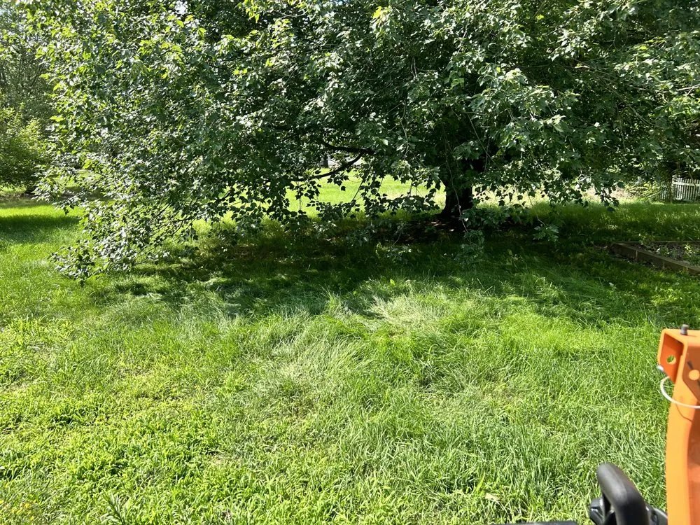 Top-rated lawn mowing service in Kalamazoo, MI - GEE Lawn Care & Power Washing