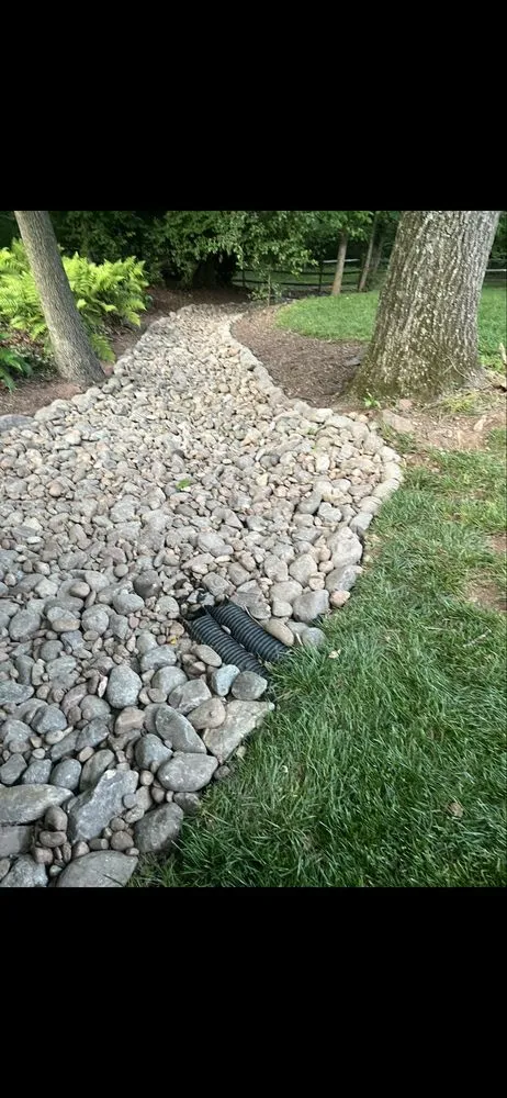 Expert yard cleanup service near you in Manassas, VA by Geek Landscaping