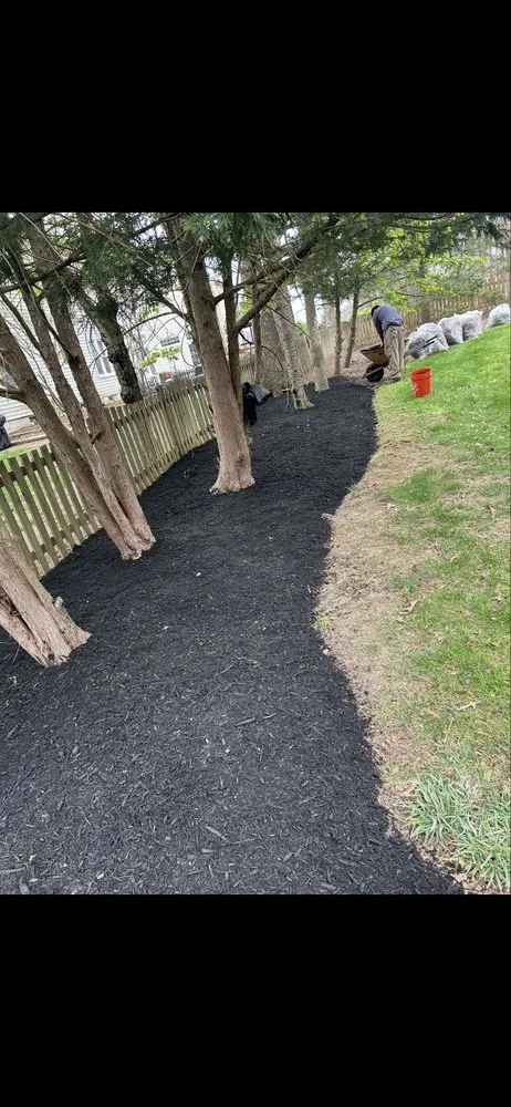 Professional yard cleanup service for homes in Manassas, VA by Geek Landscaping