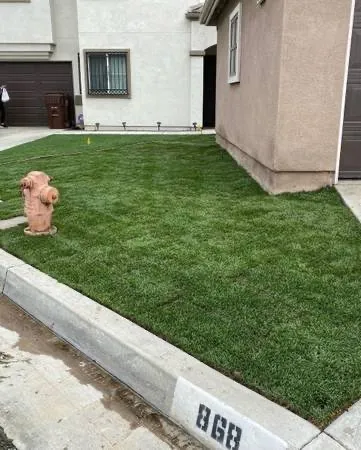 Expert yard cleanup service in San Jose, CA by Gee’s Fence & Landscape Service