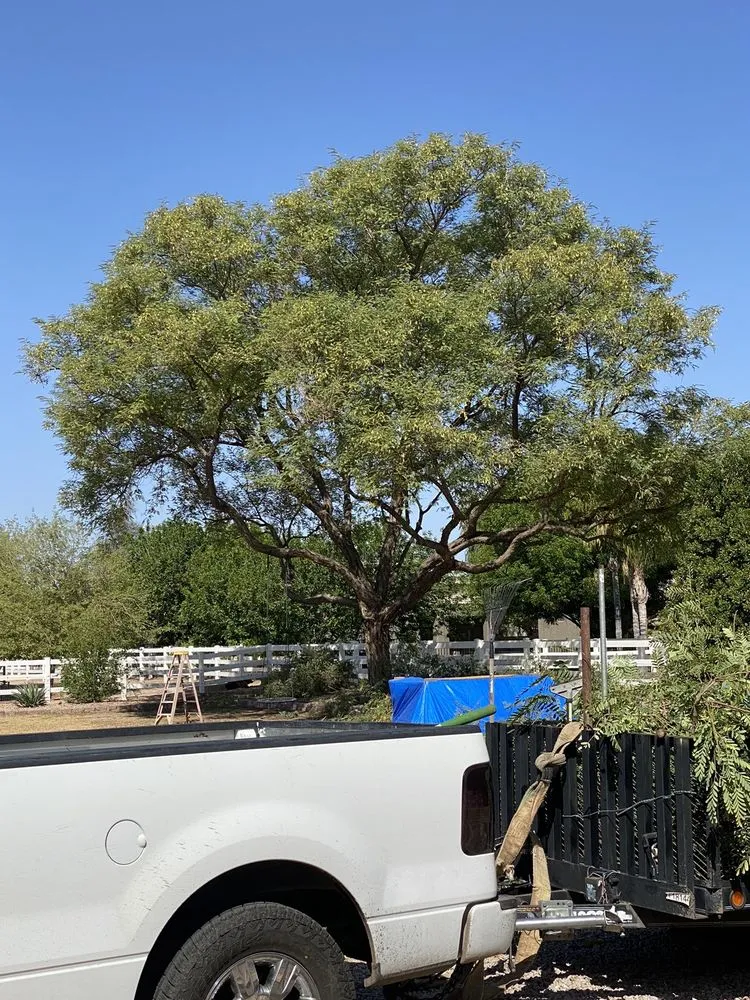 Affordable landscape design near you across Mesa, AZ - Geev Landscaping