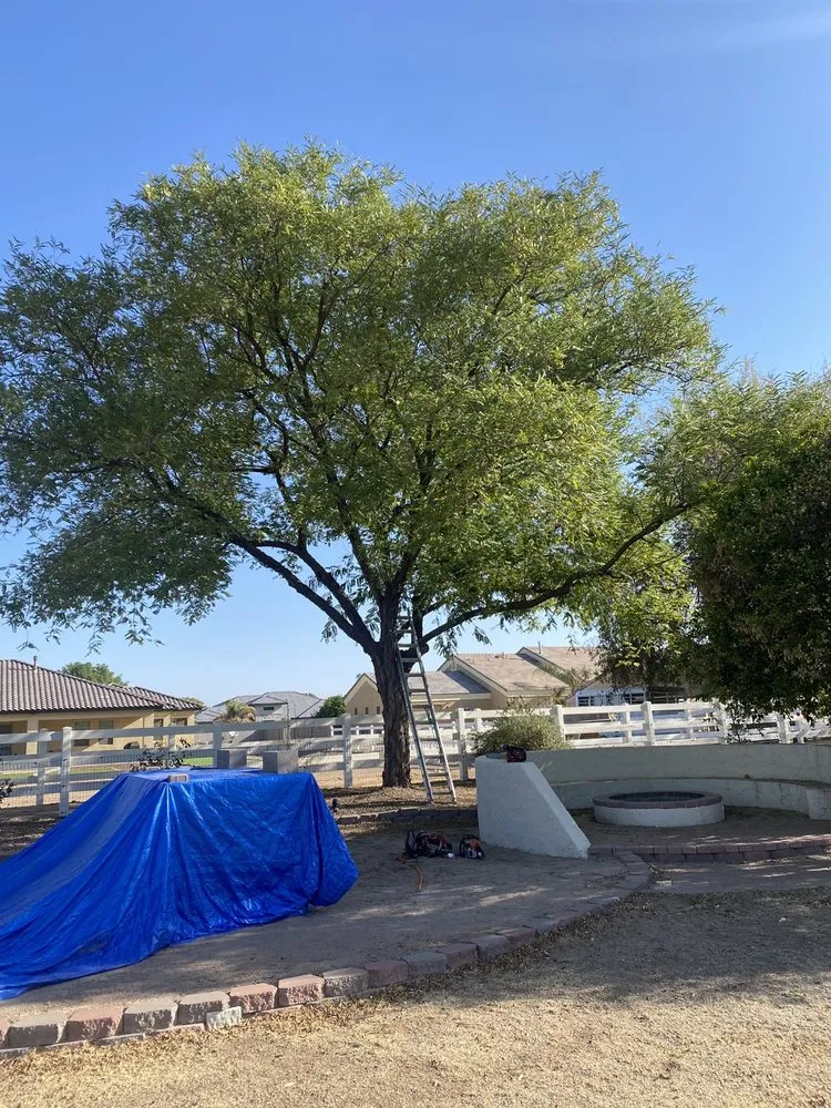 Local lawn mowing service in Mesa, AZ by Geev Landscaping