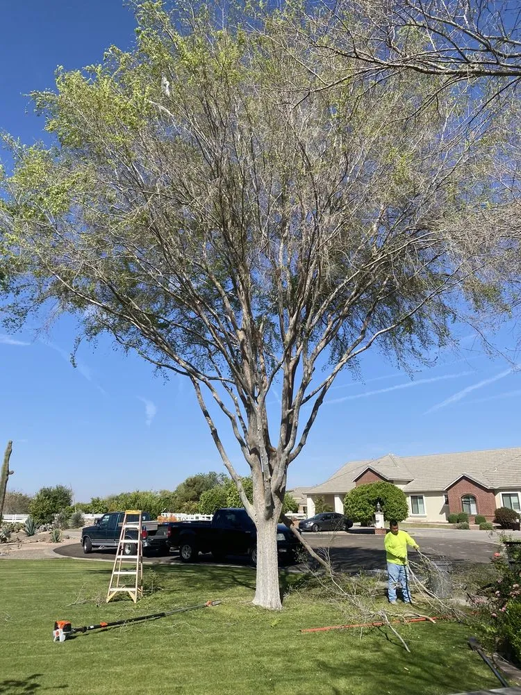 Local landscaping services in Mesa, AZ - Geev Landscaping