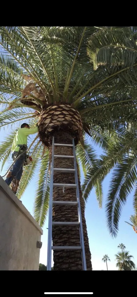 Local landscape installation in Mesa, AZ - Geev Landscaping