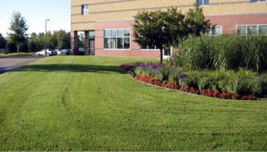 Custom landscape design in Mesa, AZ - Geev Landscaping