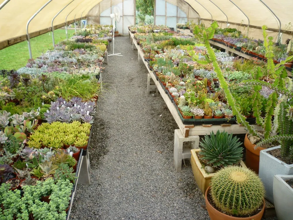 Professional landscaping services near you in Chico, CA by Geffray's Cactus Gardens