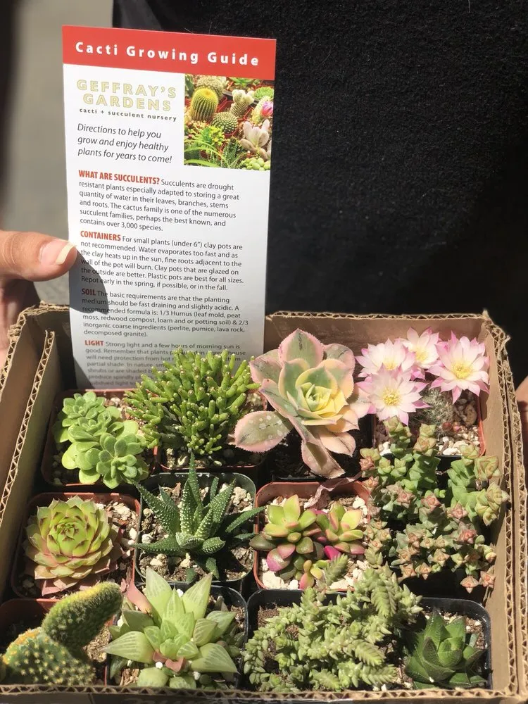 Professional residential landscaping in Chico, CA by Geffray's Cactus Gardens