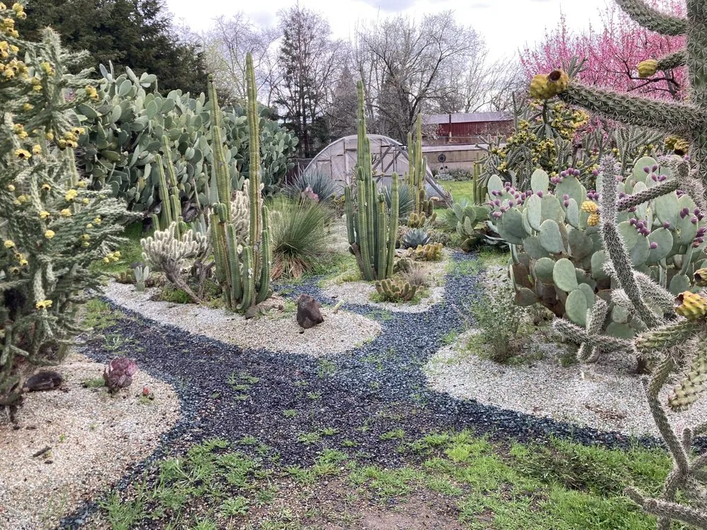 Affordable lawn care service in Chico, CA - Geffray's Cactus Gardens