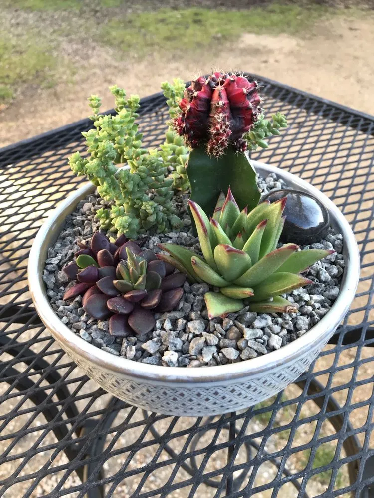 Custom landscape installation for outdoor upgrades across Chico, CA - Geffray's Cactus Gardens