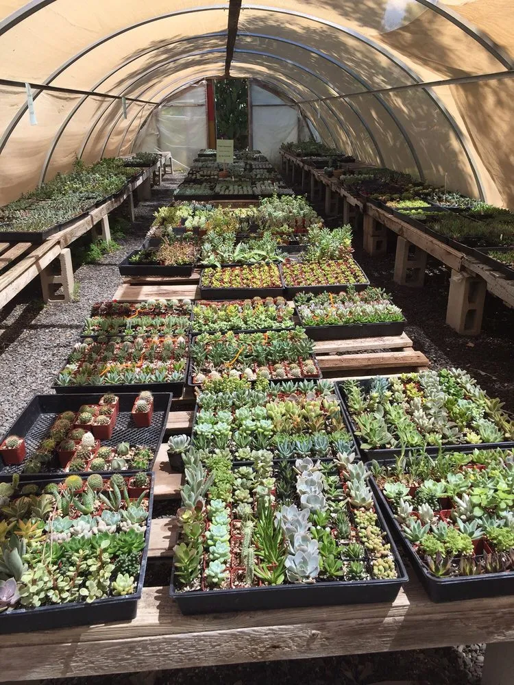 Reliable residential landscaping for residential properties across Chico, CA - Geffray's Cactus Gardens