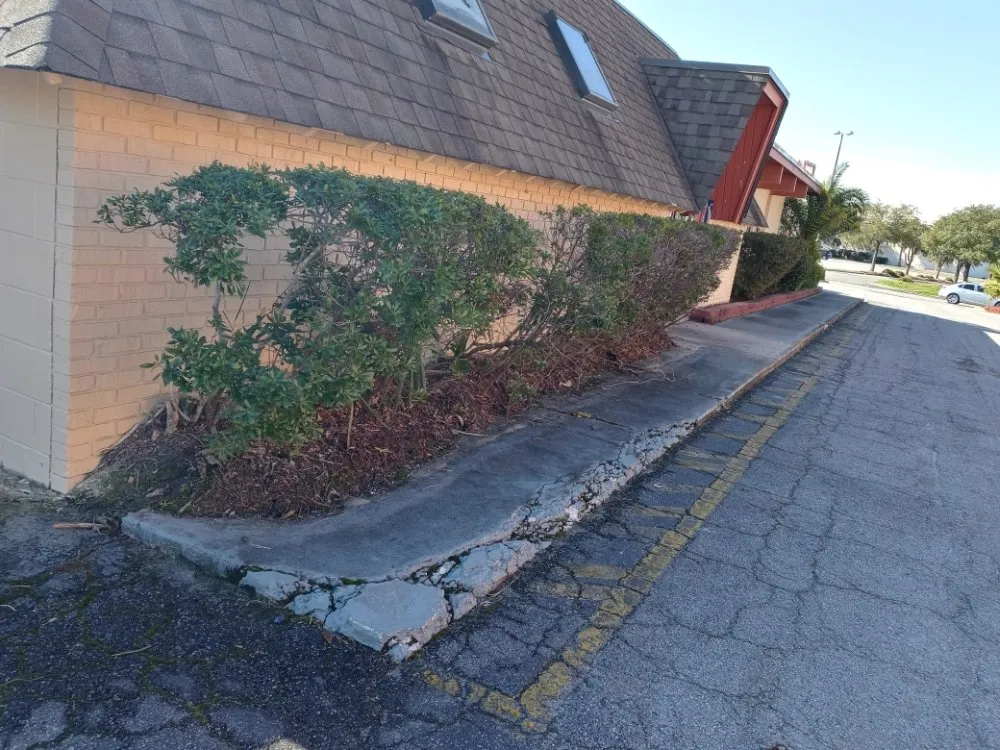 Top-rated residential landscaping experts serving Savannah, GA - GEG Painting and Landscaping