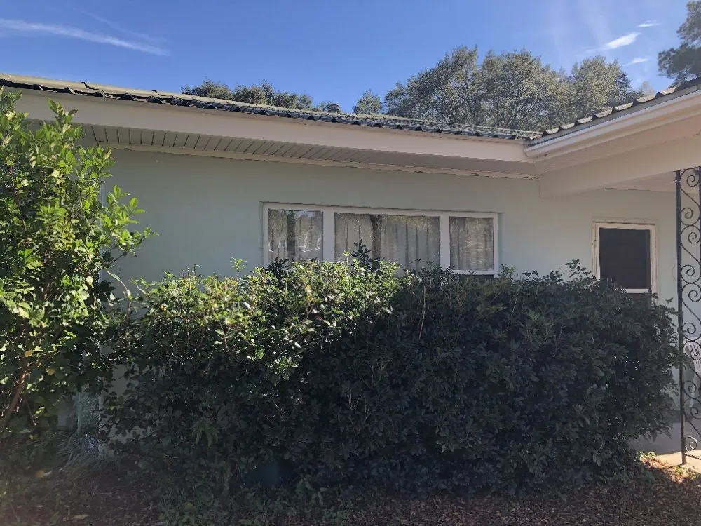 Local yard maintenance experts serving Savannah, GA - GEG Painting and Landscaping