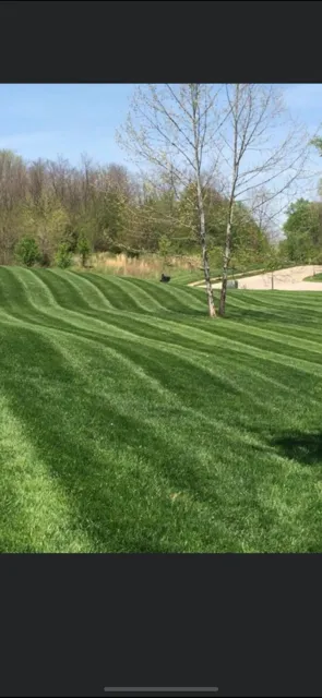 Top-rated landscape installation for year-round maintenance in Bloomington, IN by Gehlhausen Lawn Service
