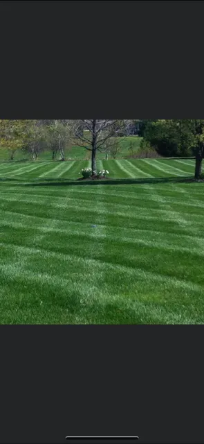 Professional landscaping services for residential properties across Bloomington, IN - Gehlhausen Lawn Service