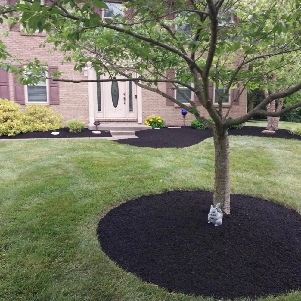 Reliable garden landscaping for outdoor upgrades across Cincinnati, OH - Geiger Greenscapes