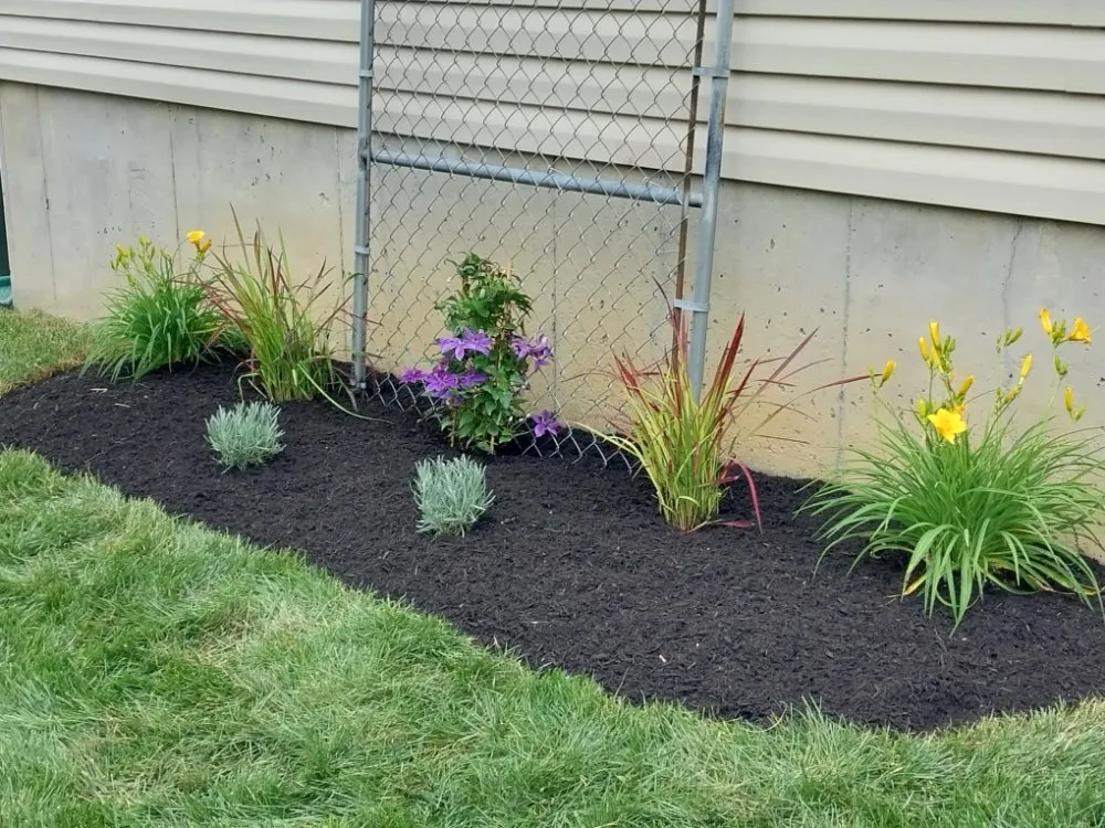 Top-rated yard maintenance experts serving Cincinnati, OH - Geiger Greenscapes