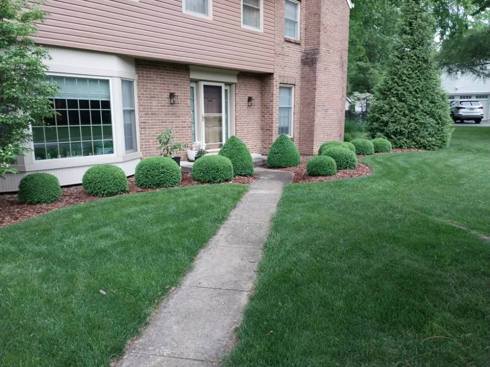 Local residential landscaping for residential properties in Cincinnati, OH by Geiger Greenscapes