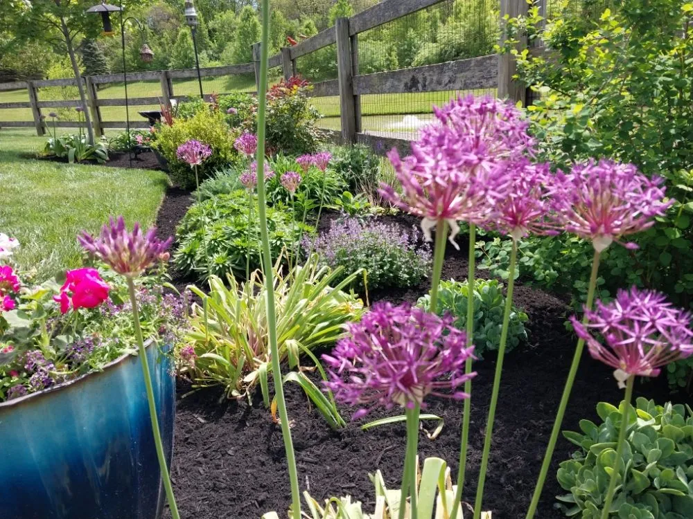 Custom landscape installation in Cincinnati, OH - Geiger Greenscapes