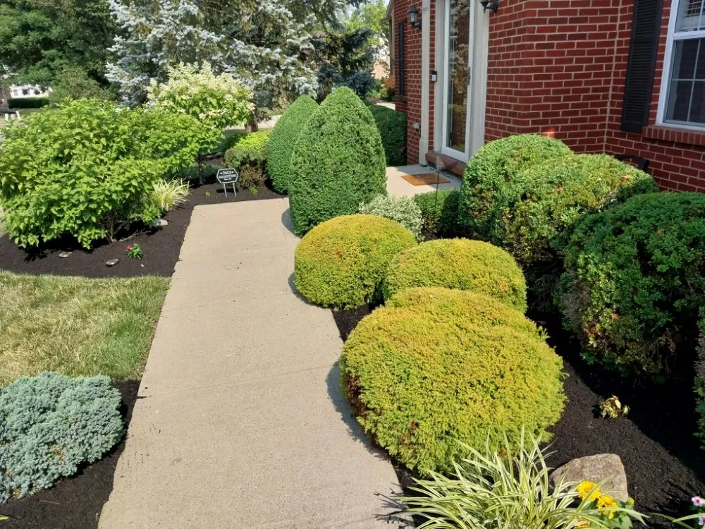 Top-rated lawn mowing service experts serving Cincinnati, OH - Geiger Greenscapes