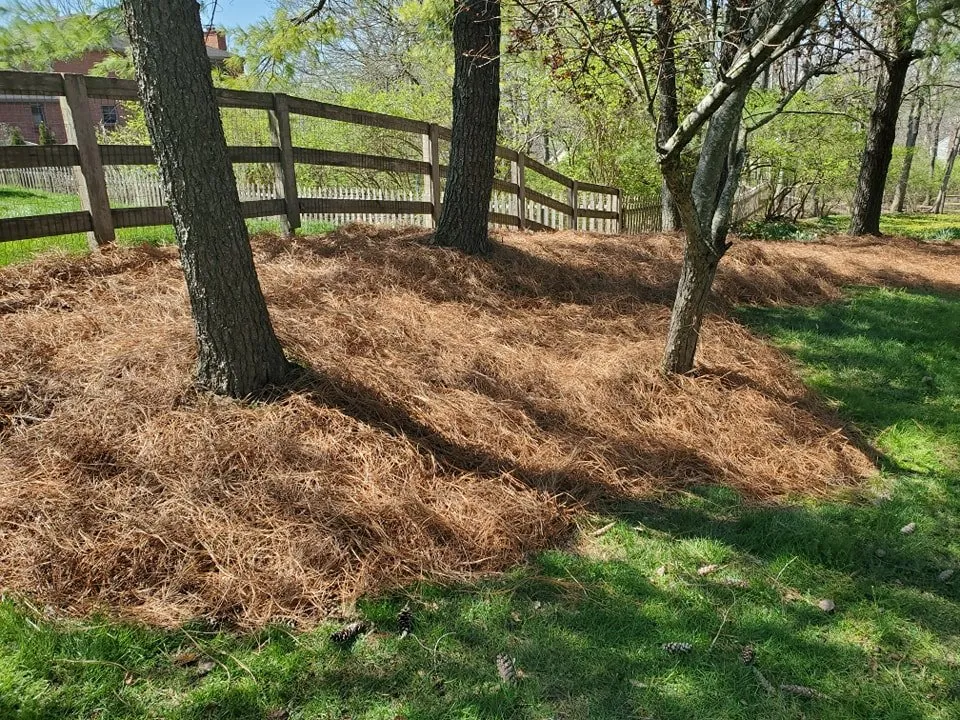 Affordable landscape design experts serving Cincinnati, OH - Geiger Greenscapes