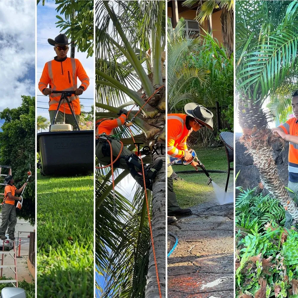 Affordable landscape installation in Honolulu, HI by Gelacio’s