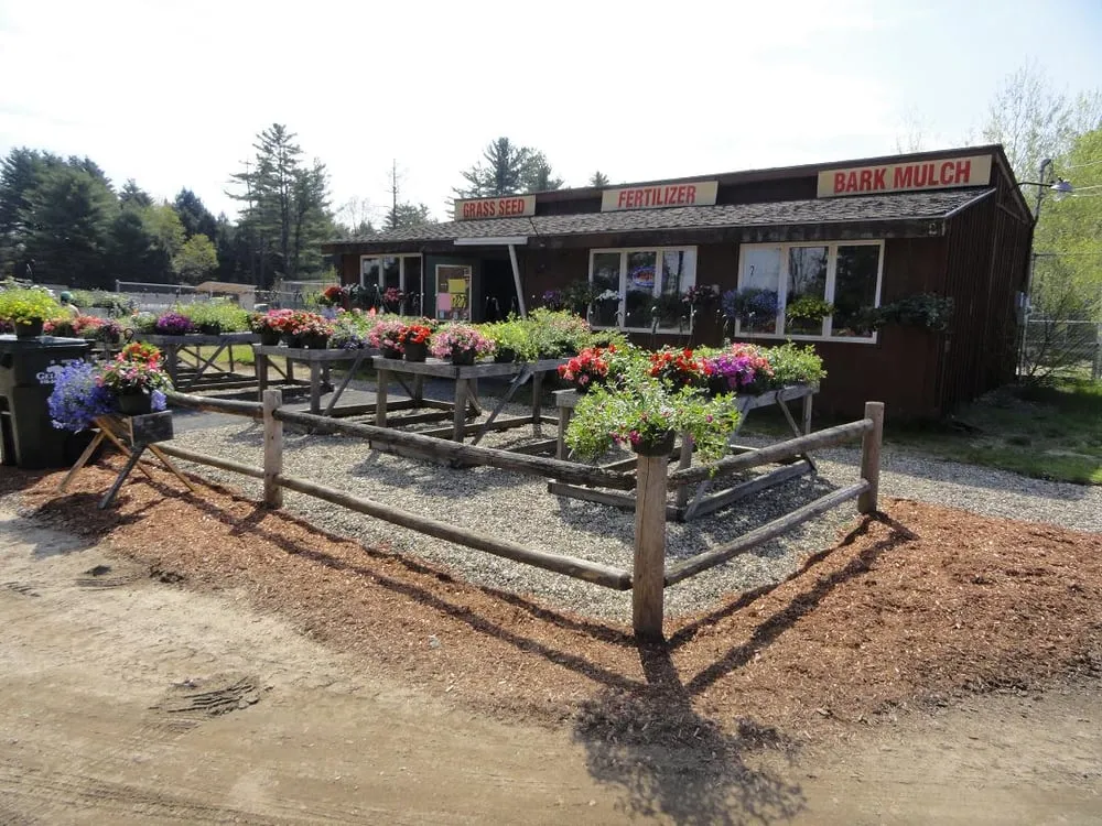 Local yard cleanup service experts serving Orange, MA - Gelinas Lawn Maintenance