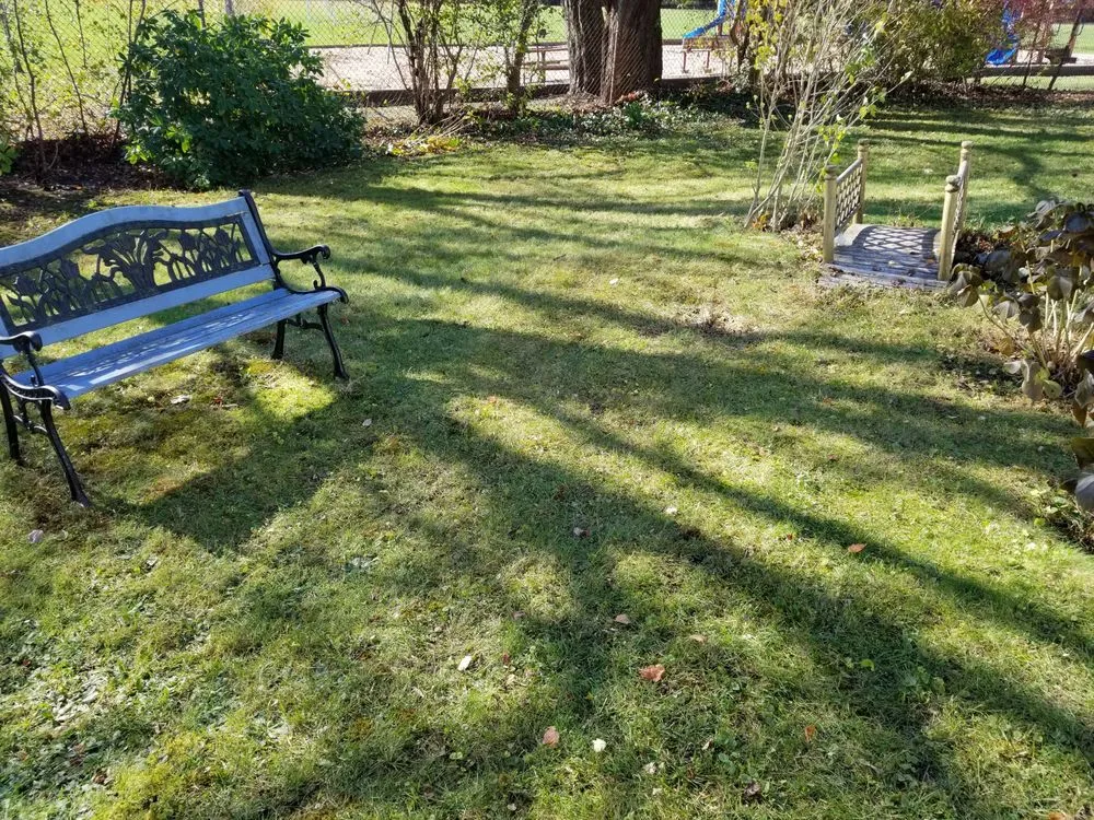 Top-rated outdoor landscaping experts serving Dedham, MA - Geller Landscaping