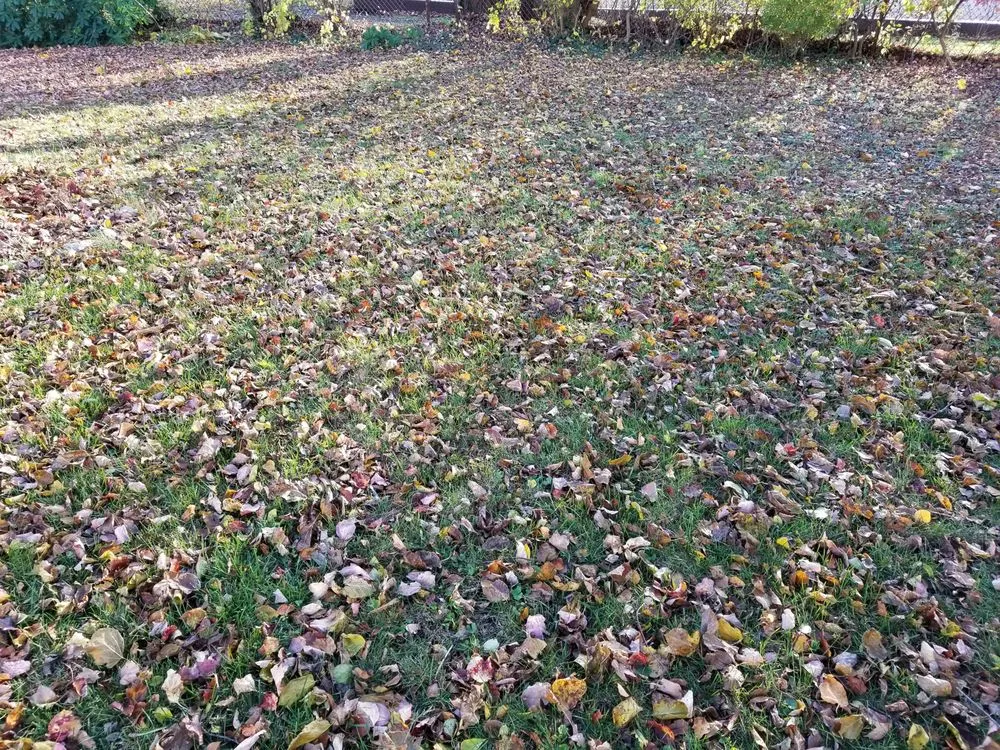 Professional landscape installation experts serving Dedham, MA - Geller Landscaping