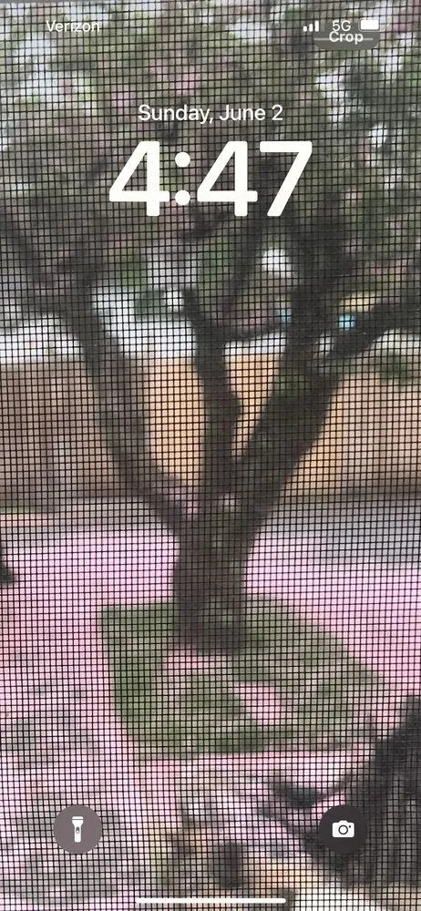 Local yard maintenance experts serving Blakely, PA - Gelo Landscaping