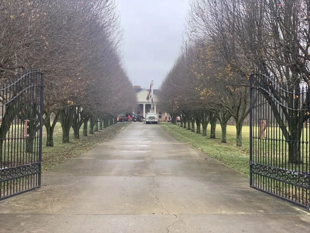 Reliable yard cleanup service in Dayton, OH - Gem City Tree