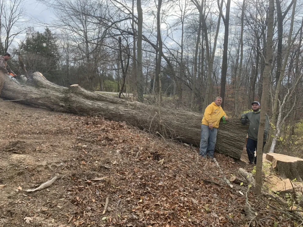 Reliable landscaping services in Dayton, OH - Gem City Tree