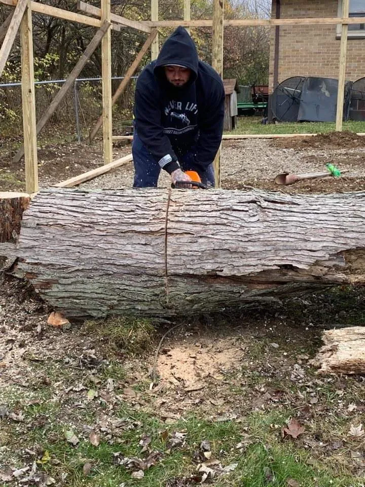 Reliable lawn mowing service experts serving Dayton, OH - Gem City Tree