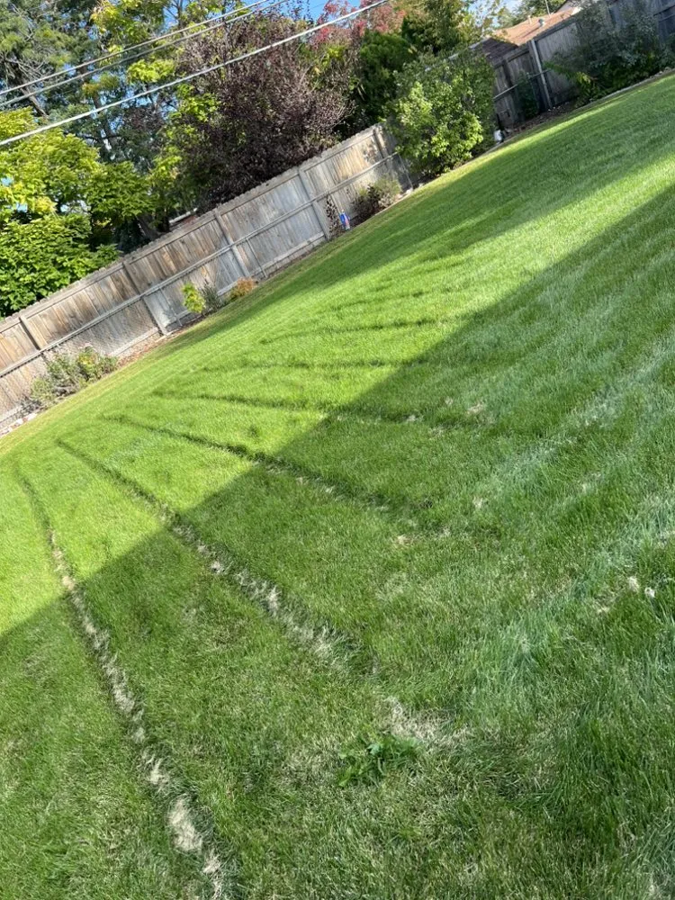 Local yard maintenance experts serving Aurora, CO - GEM Landscaping & Construction