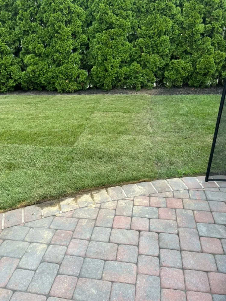 Top-rated lawn mowing service in Deer Park, NY by Gem landscaping