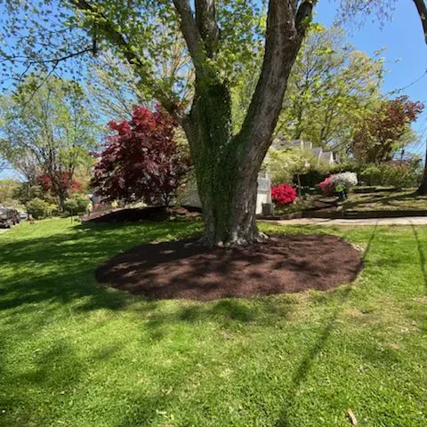 Expert landscaping services experts serving Germantown, MD - GEM Landscaping Services