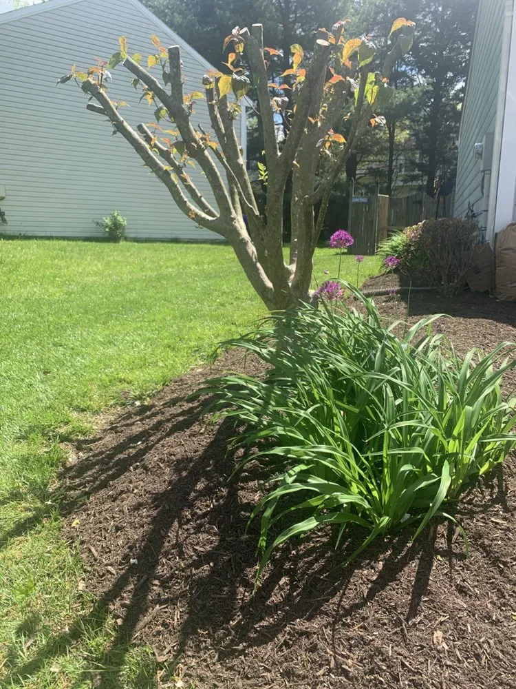 Affordable residential landscaping for beautiful yards in Germantown, MD by GEM Landscaping Services