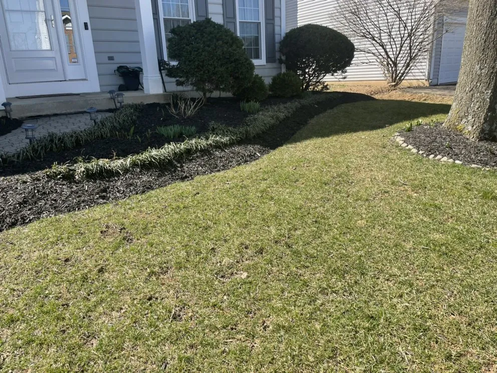 Expert yard cleanup service in Germantown, MD - GEM Landscaping Services