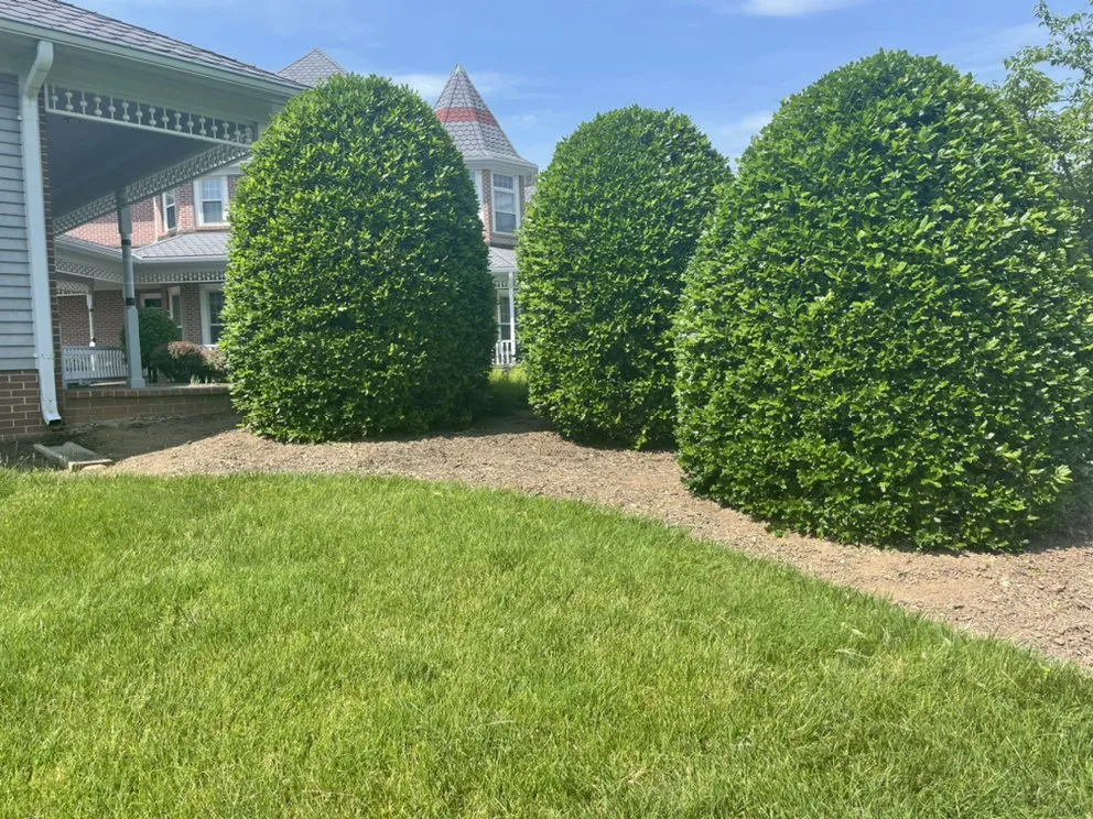 Trusted landscape design in Germantown, MD - GEM Landscaping Services