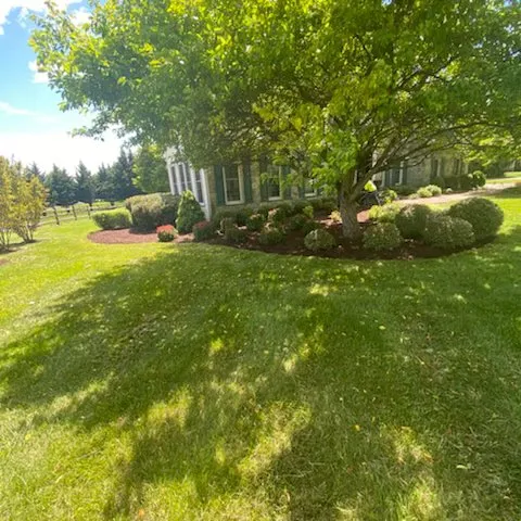 Professional yard cleanup service experts serving Germantown, MD - GEM Landscaping Services