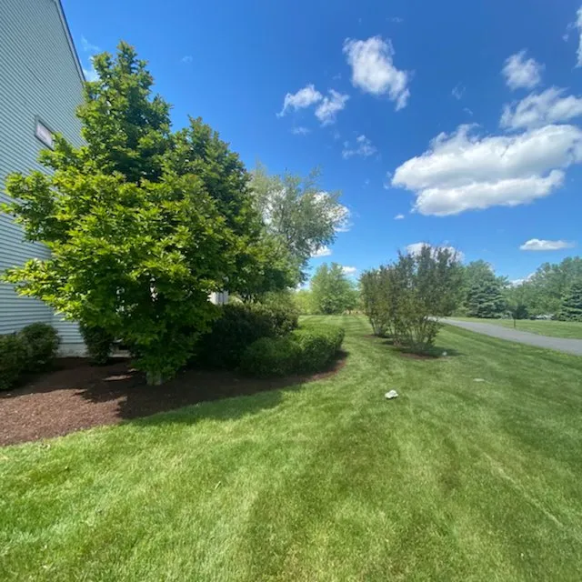 Professional lawn care service in Germantown, MD by GEM Landscaping Services