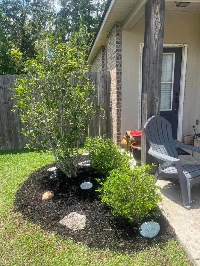 Expert yard cleanup service in Hammond, LA - GEM Lawn Care & More