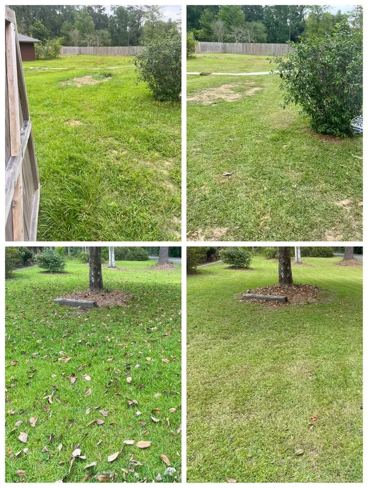 Reliable landscaping services experts serving Hammond, LA - GEM Lawn Care & More