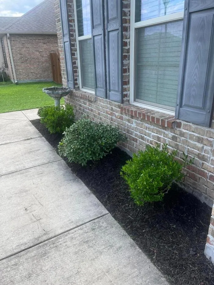 Custom outdoor landscaping for beautiful yards in Hammond, LA by GEM Lawn Care & More
