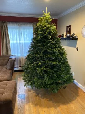 GEM Rock and Landscaping