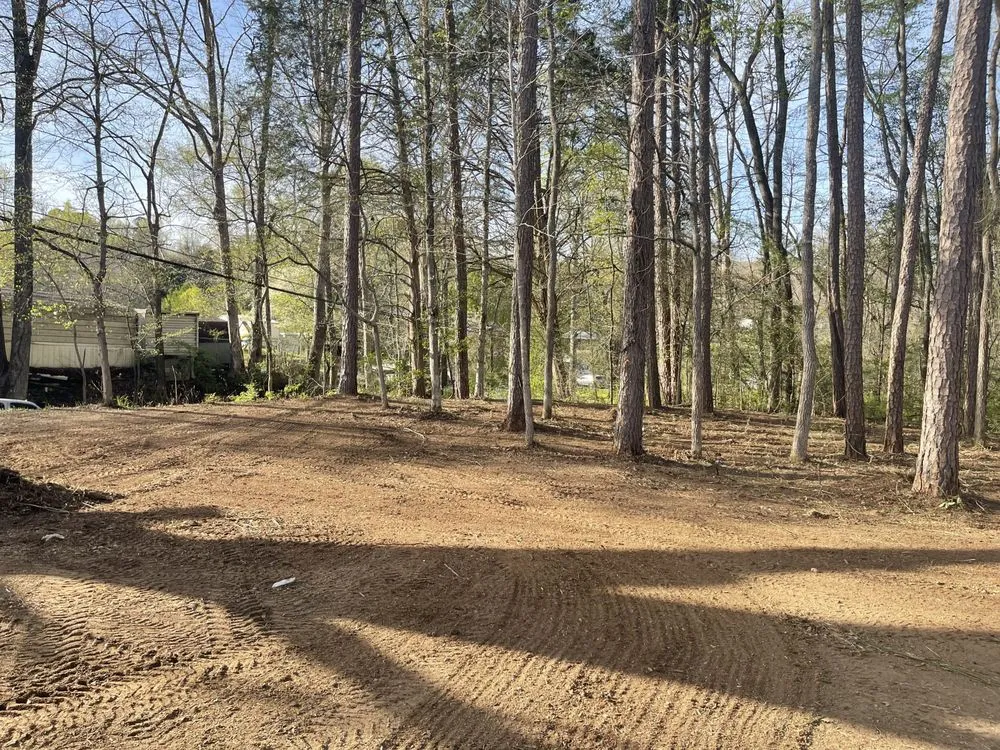 Reliable lawn mowing service in Spring City, TN - GEM