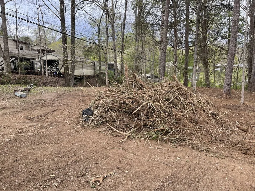 Top-rated yard cleanup service for year-round maintenance in Spring City, TN by GEM