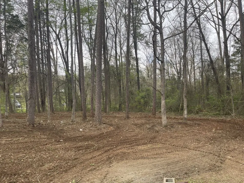 Custom yard maintenance near you across Spring City, TN - GEM