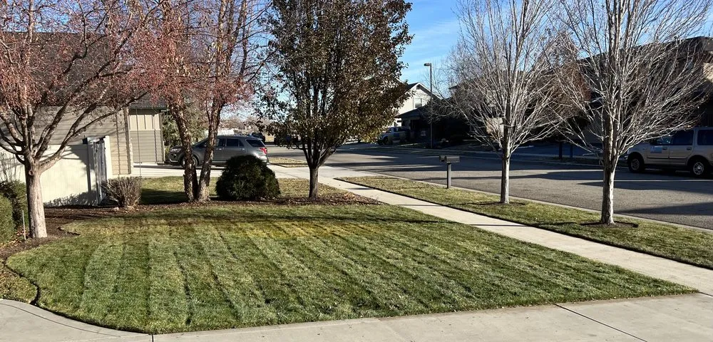 Expert yard cleanup service experts serving Boise, ID - Gem State Landscapes
