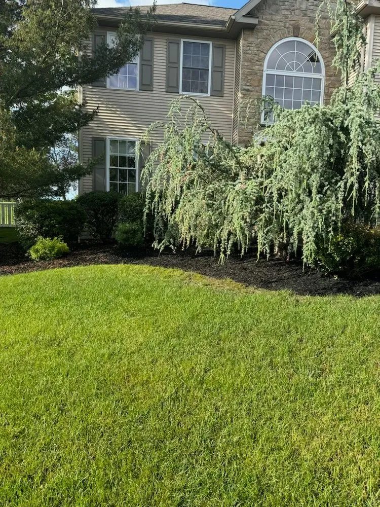 Affordable lawn care service for homes in Selinsgrove, PA by Gemberling Property Services